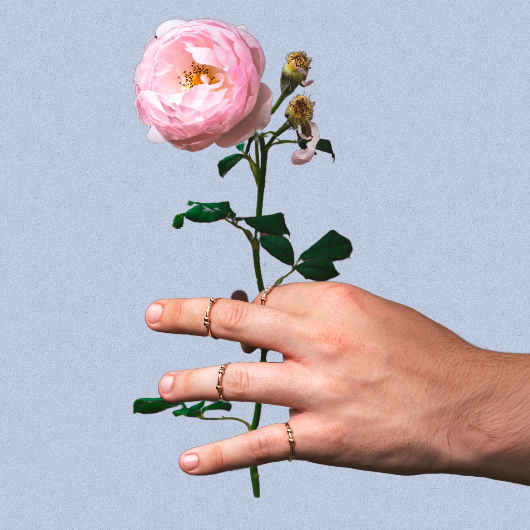Rings – Rozen Jewellery